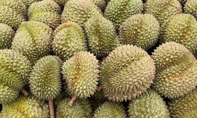 China Tightens Scrutiny, Boosting Competition for Vietnamese Durians