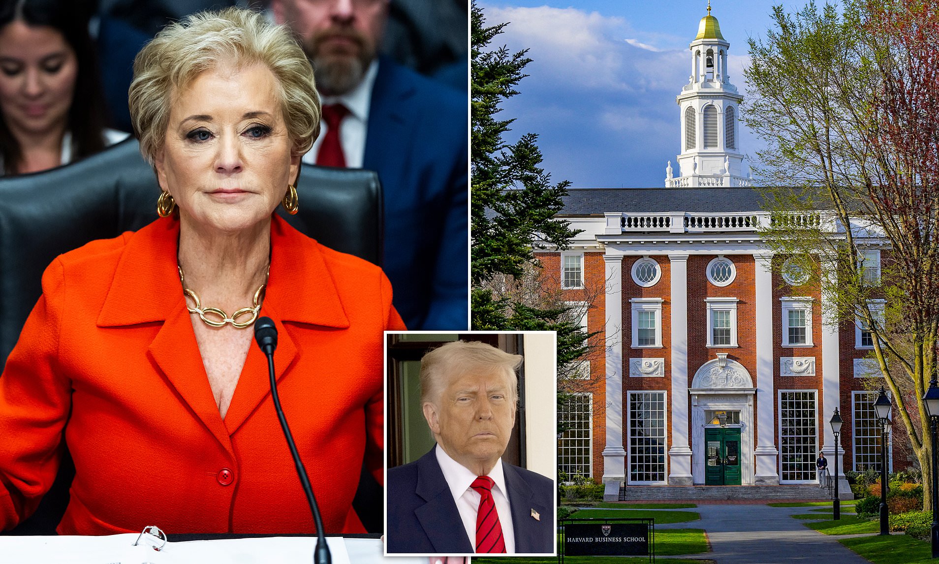 Trump’s Education Chief Faces Mockery Over Grammatical Blunders in Harvard Letter