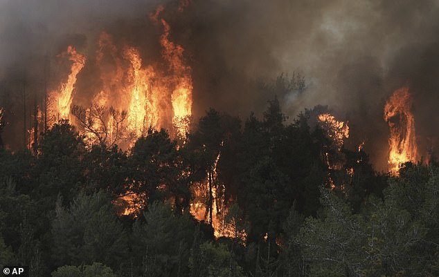 Climate Change Impact: How It Will Directly Affect You, Scientists Reveal