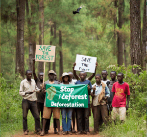Sustainability Spotlight: Ebenezer Asumang on Environmental Activism and Development Communication