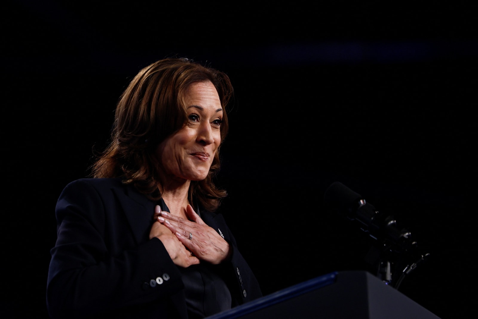 ‘Total slap in the face’: Trump rages after Kamala Harris interview gets award nomination