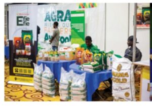 Horticulture Expo 2025: Shaping the Future of Agriculture and Agribusiness