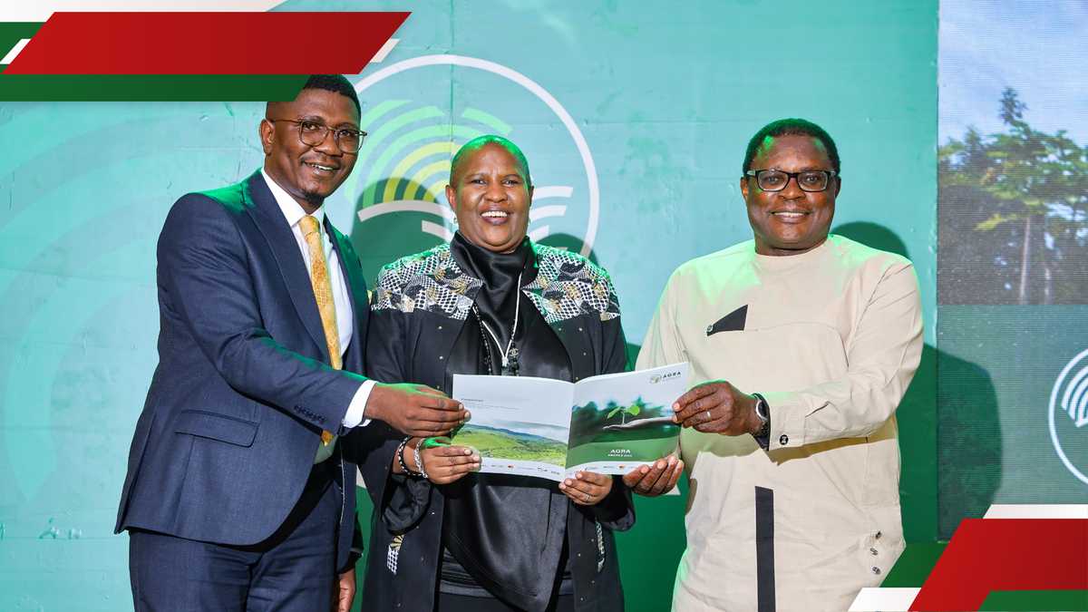 AGRA Pledges 77K Jobs and Doubles Maize Production in Kenya, Empowering Small-Scale Farmers