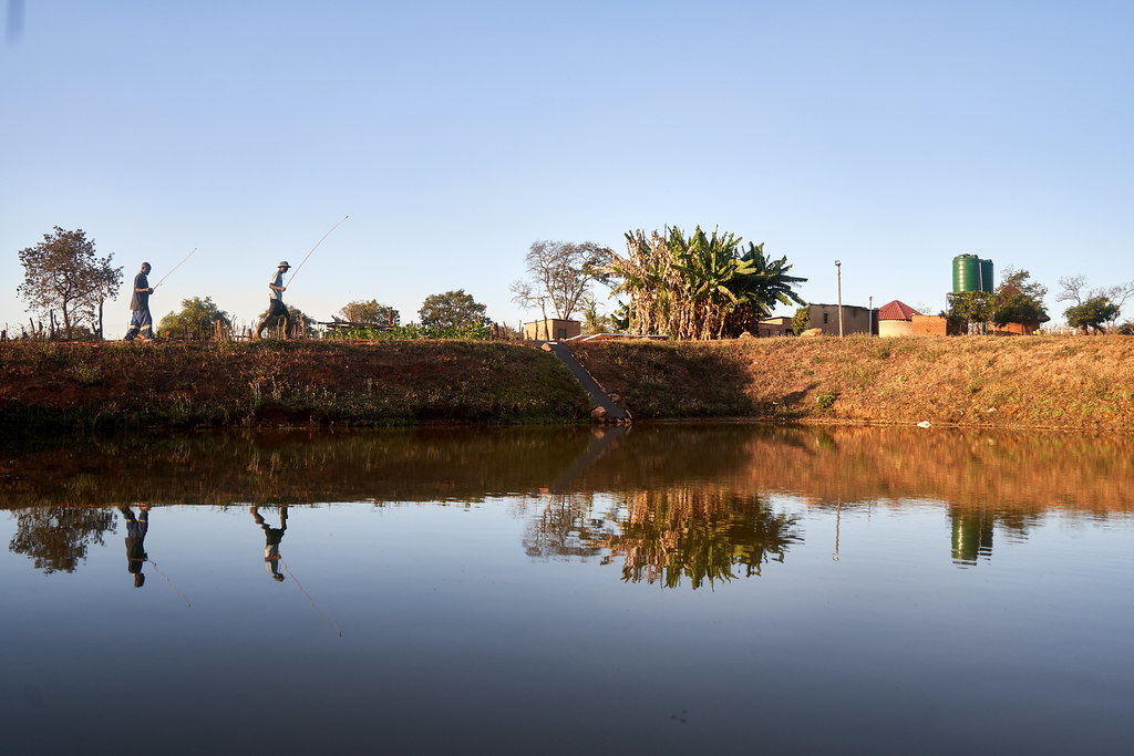 Zimbabwe Set to Introduce First-Ever Fisheries and Aquaculture Bill