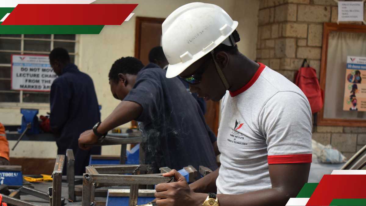 KNEC Cancels Key Technical and Business Courses: What You Need to Know (International English Edition)