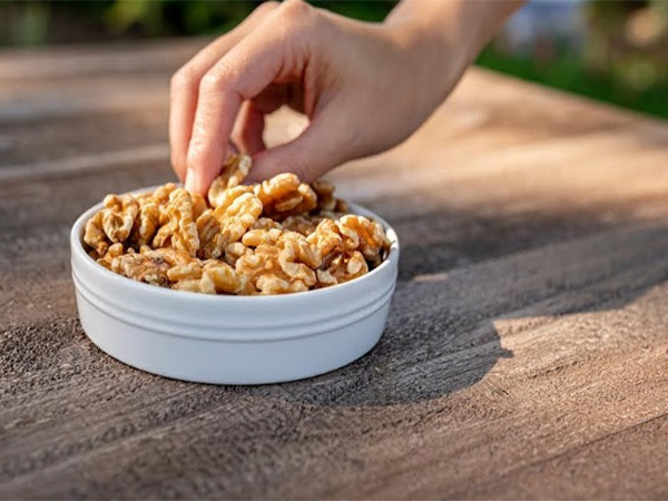 Research Reveals Walnuts’ Potent Anti-Inflammatory Effects and Their Role in Lowering Colon Cancer Risk – International Edition (English)
